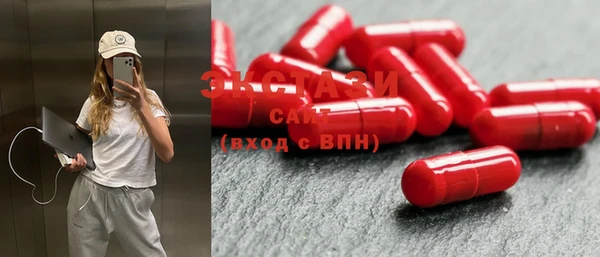 ECSTASY Богородицк