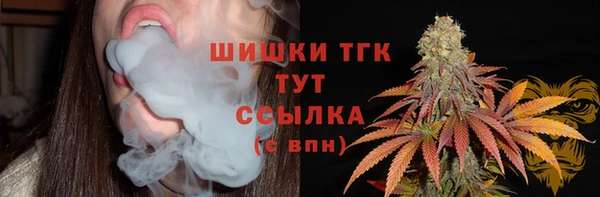 МДПВ Богородск