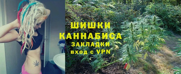 ECSTASY Богородицк