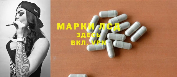 гашик Бородино