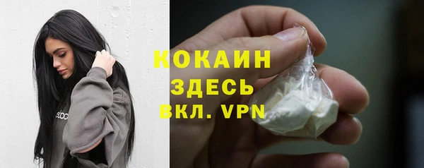 гашиш Богданович