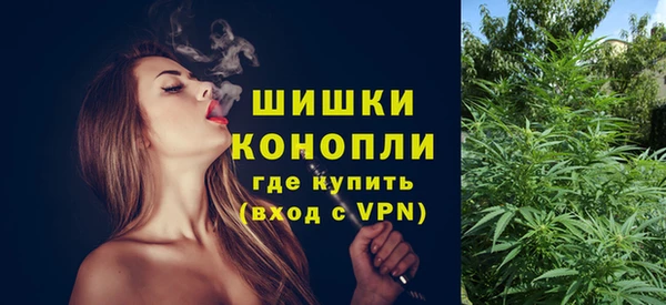 СК Бронницы