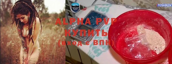 гашиш Богданович