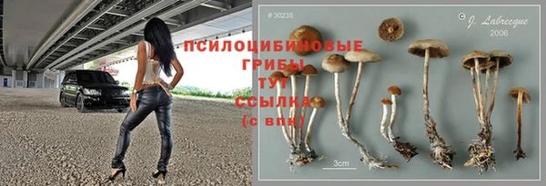 ECSTASY Богородицк